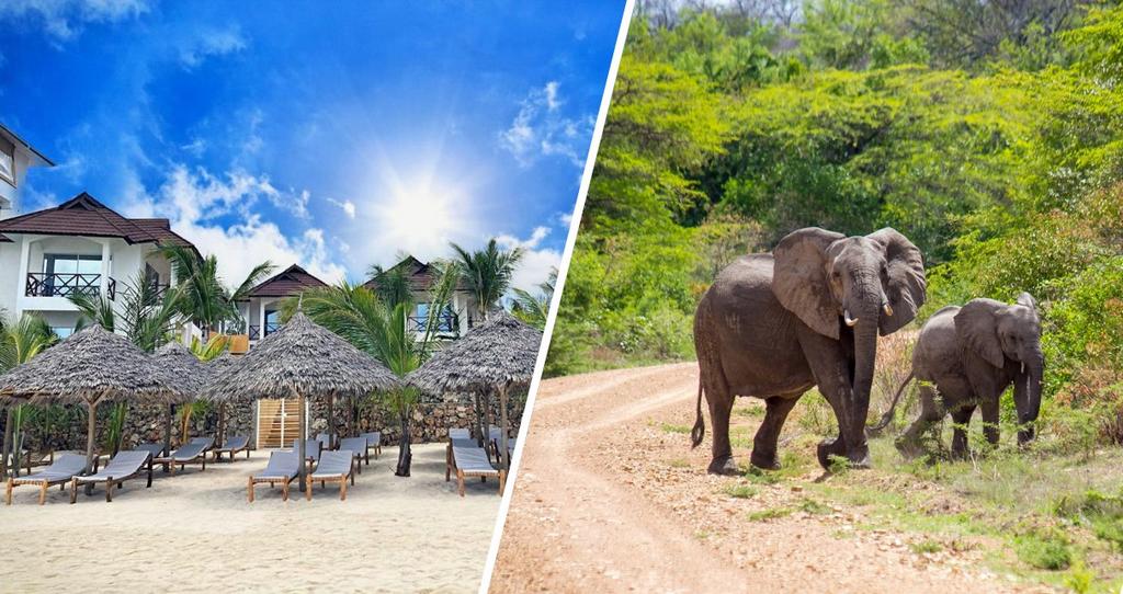 Tanzanie et Zanzibar : L'Équilibre Parfait Entre Safari et Détente