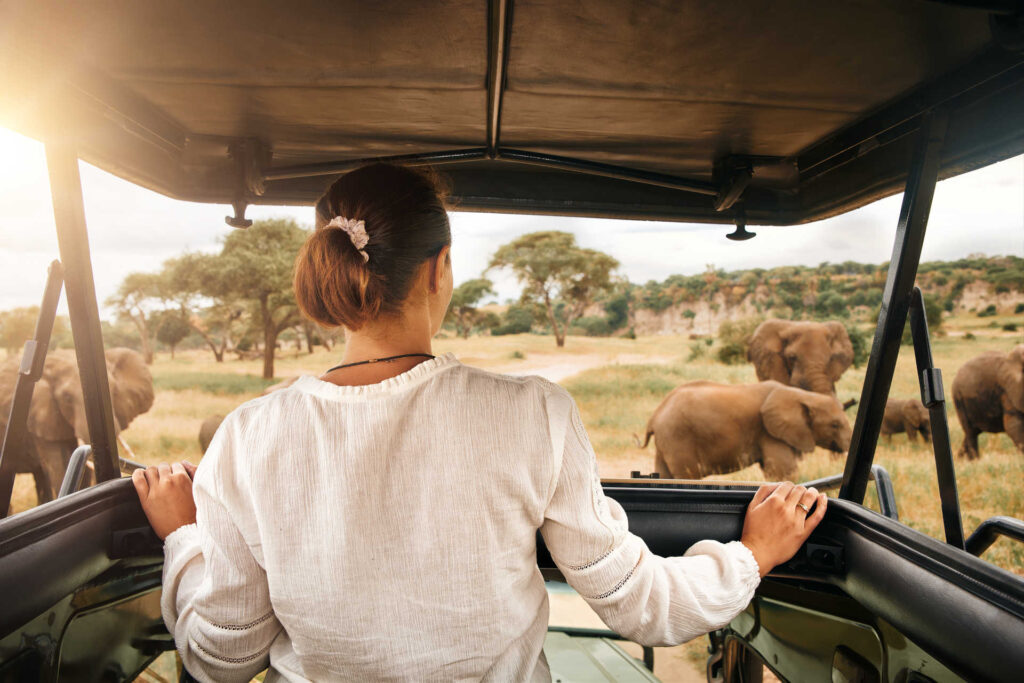 Expériences Privées : Pourquoi Choisir un Safari Exclusif avec Mimi 2 Africa