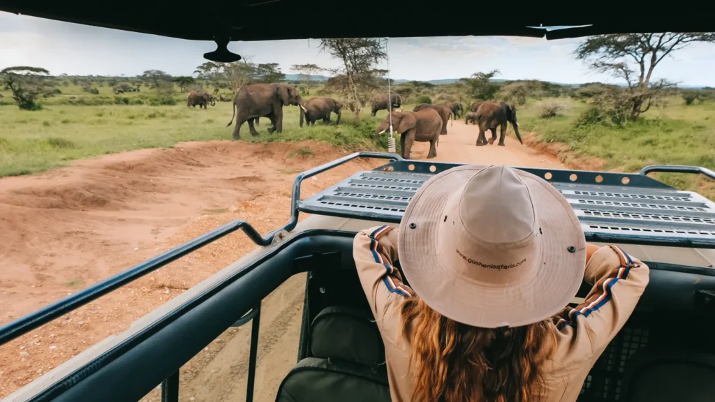 Privat-Safari Guide: Warum Exzellenz bei Mimi 2 Africa an Erster Stelle Steht